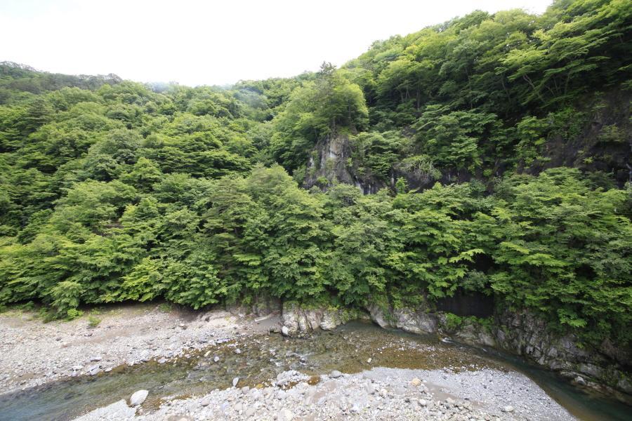 Minshuku Fukufuji Hotel Nikko Buitenkant foto